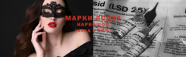 мяу мяу мука Арсеньев
