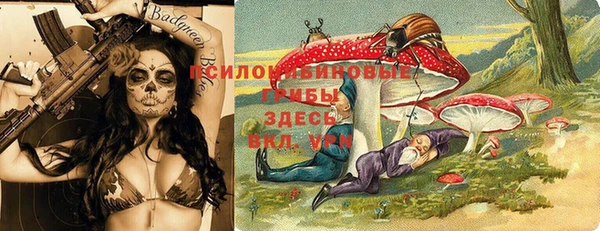 эйфоретик Аркадак