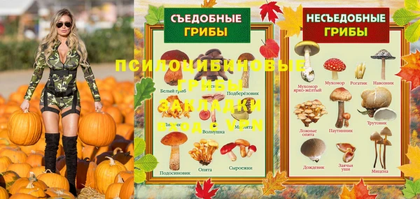 эйфоретик Аркадак