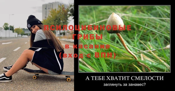 эйфоретик Аркадак
