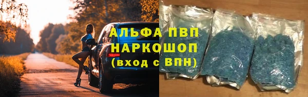 мяу мяу мука Арсеньев
