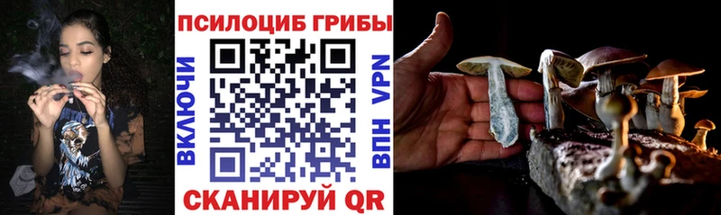 цена Лениногорск Галлюциногенные грибы ЛСД